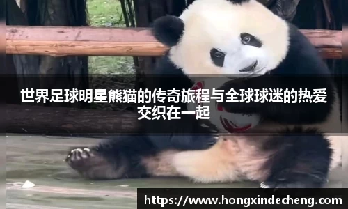 ub8优游平台