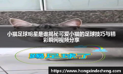优游注册